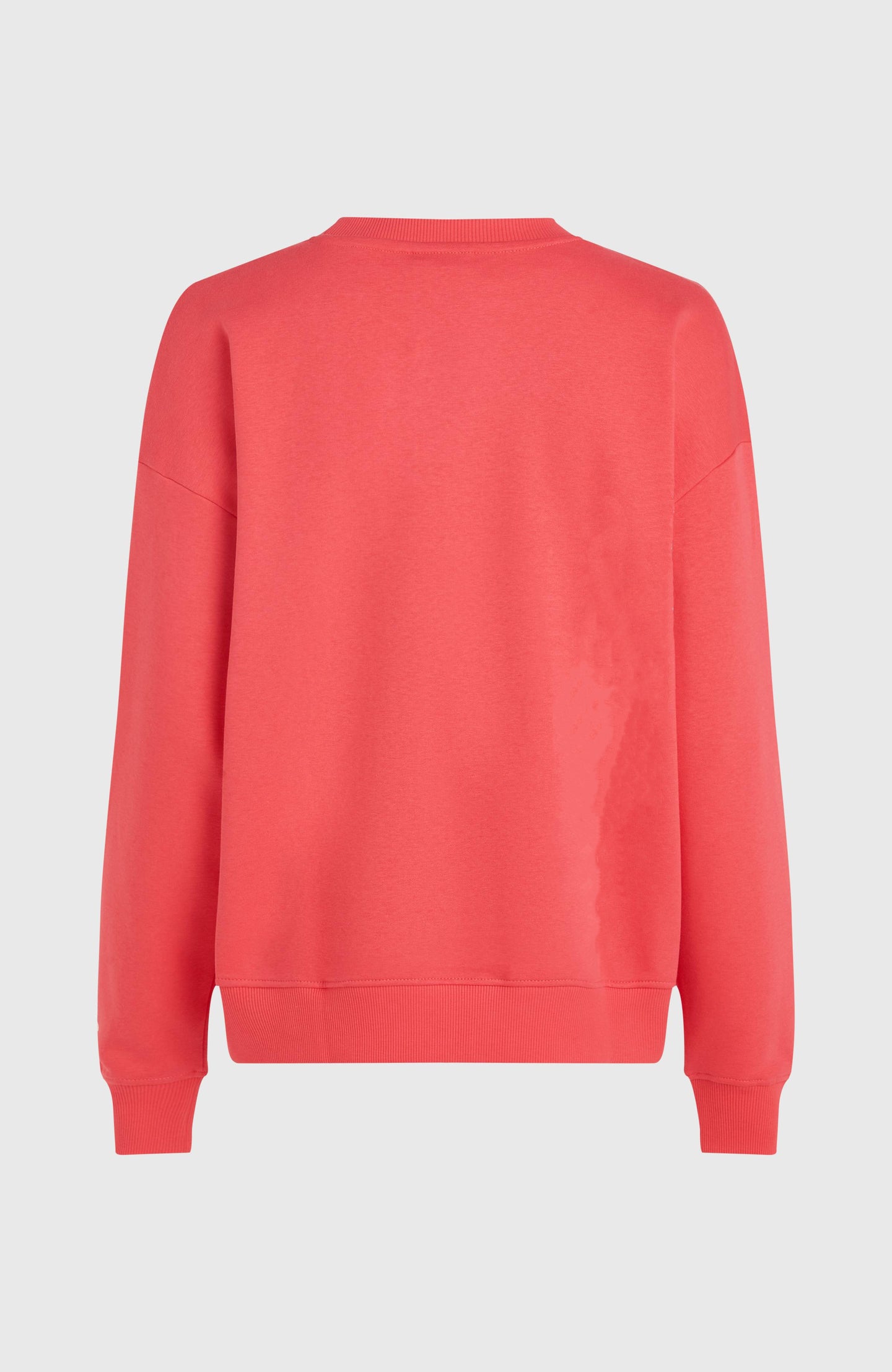 The Future Surf Society Crew - Froly