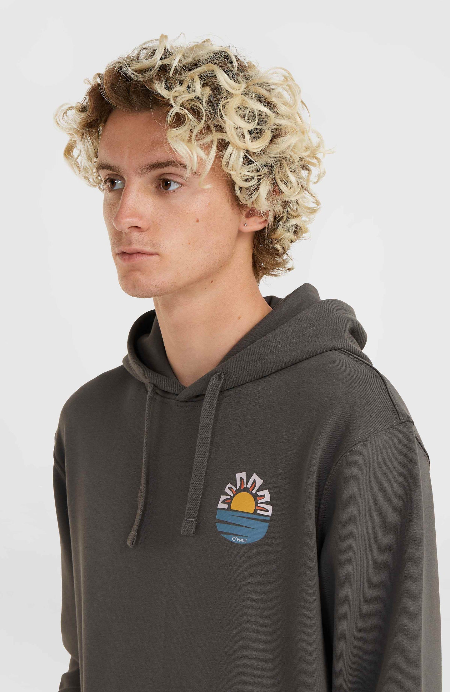 Og Sun Hoodie - Raven