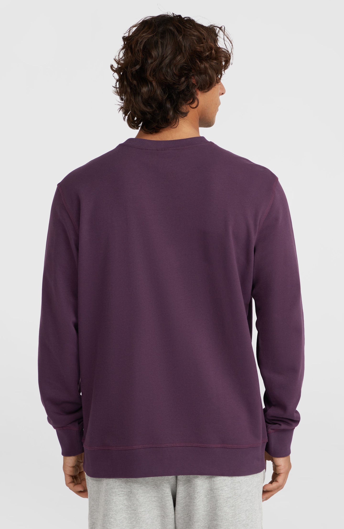 O'Neill Small Logo Crew - Aubergine
