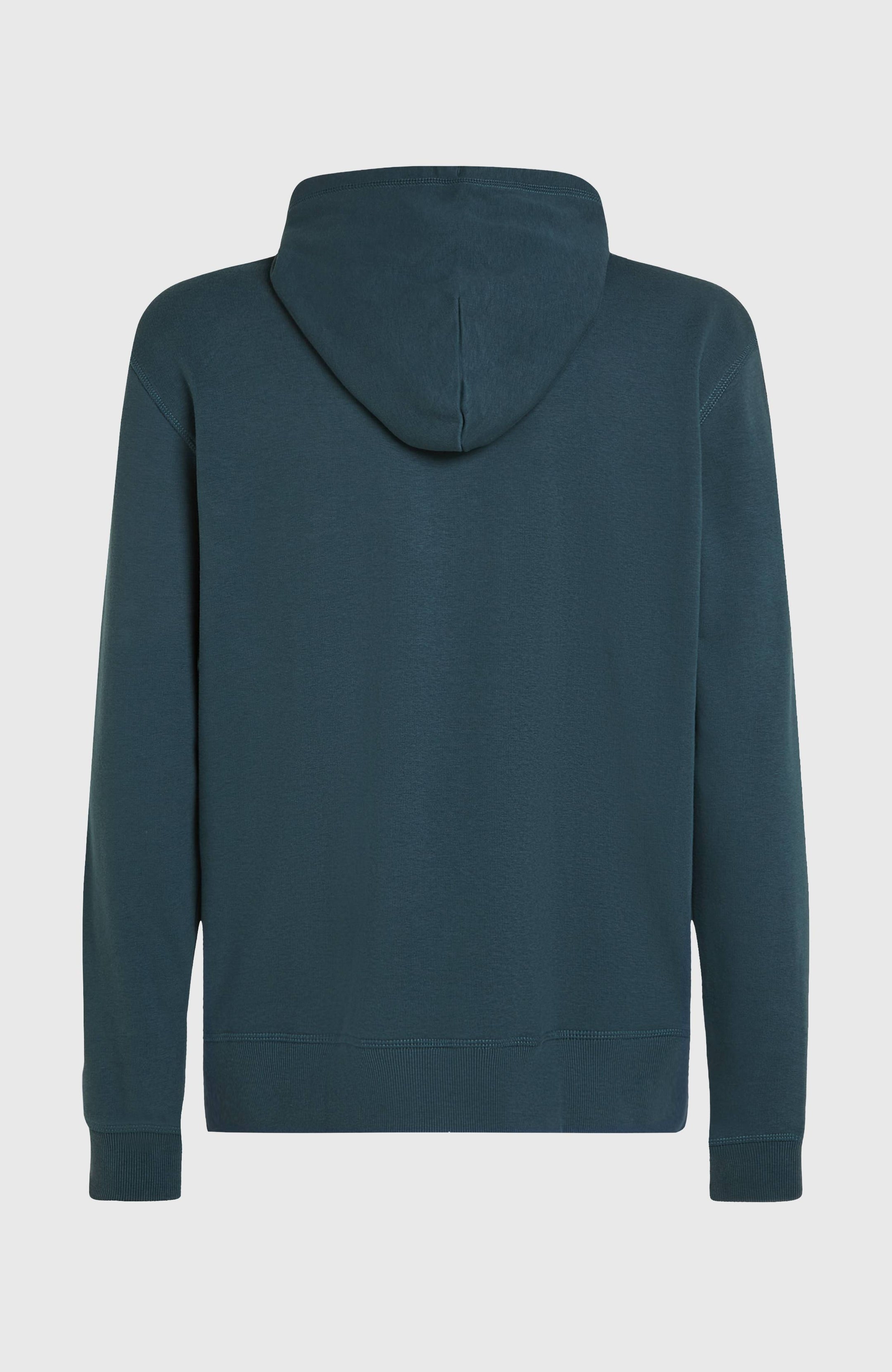 O'Neill Logo Hoodie - Alma Steel