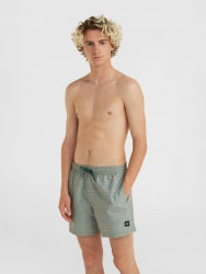 Jack O'Neill Cali First 15'' Swim Shorts - Green First Name Stripe