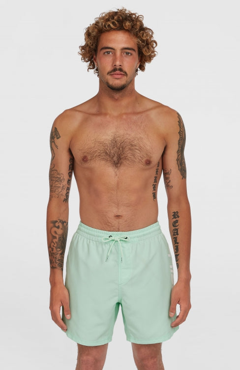 Cali 16'' Swimshorts - Mildrew Mint