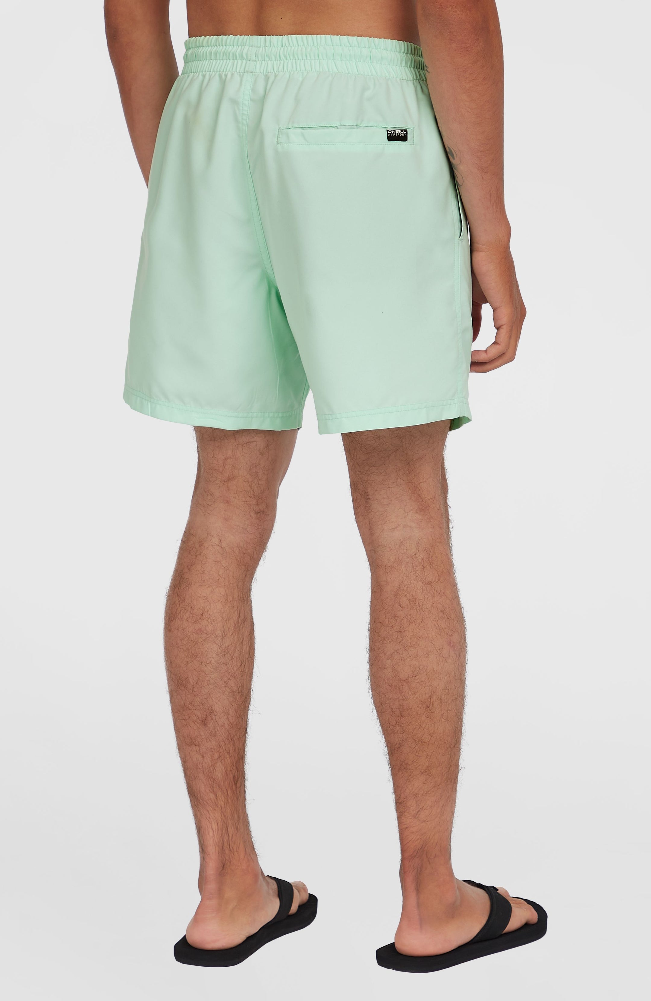 Cali 16'' Swimshorts - Mildrew Mint