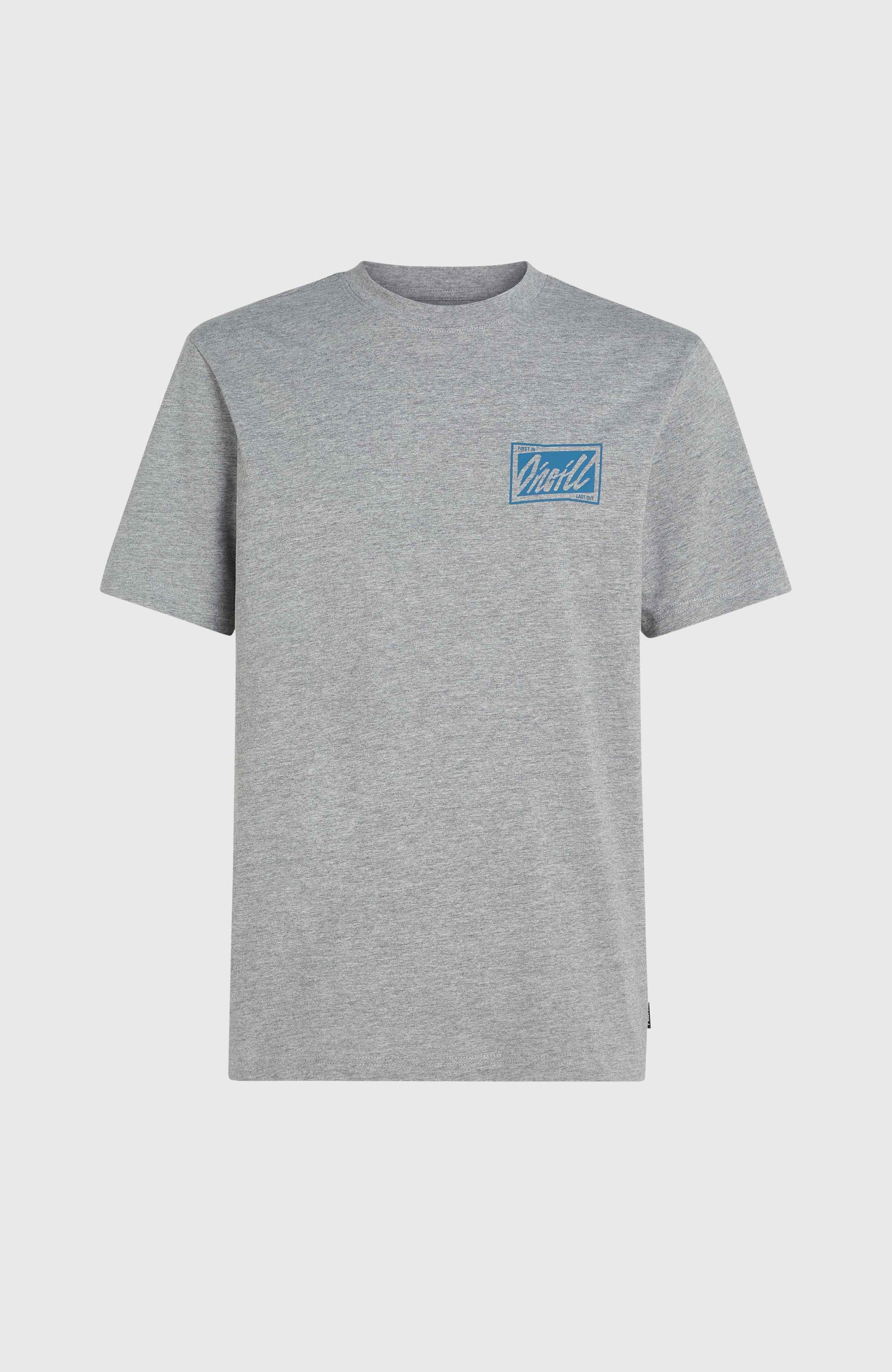 O'Neill Beach Graphic T-Shirt - Silver Melee