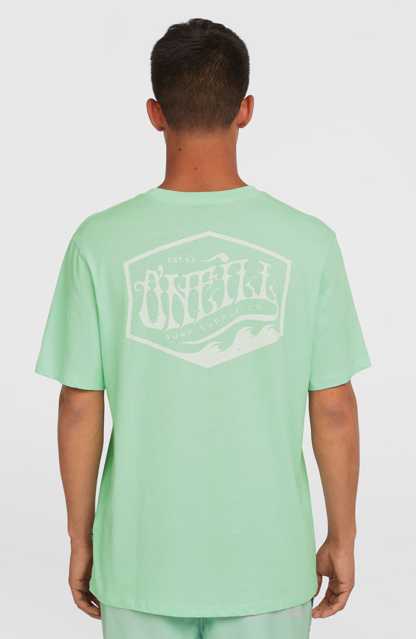 O'Neill Box Logo T-Shirt - Mildrew Mint