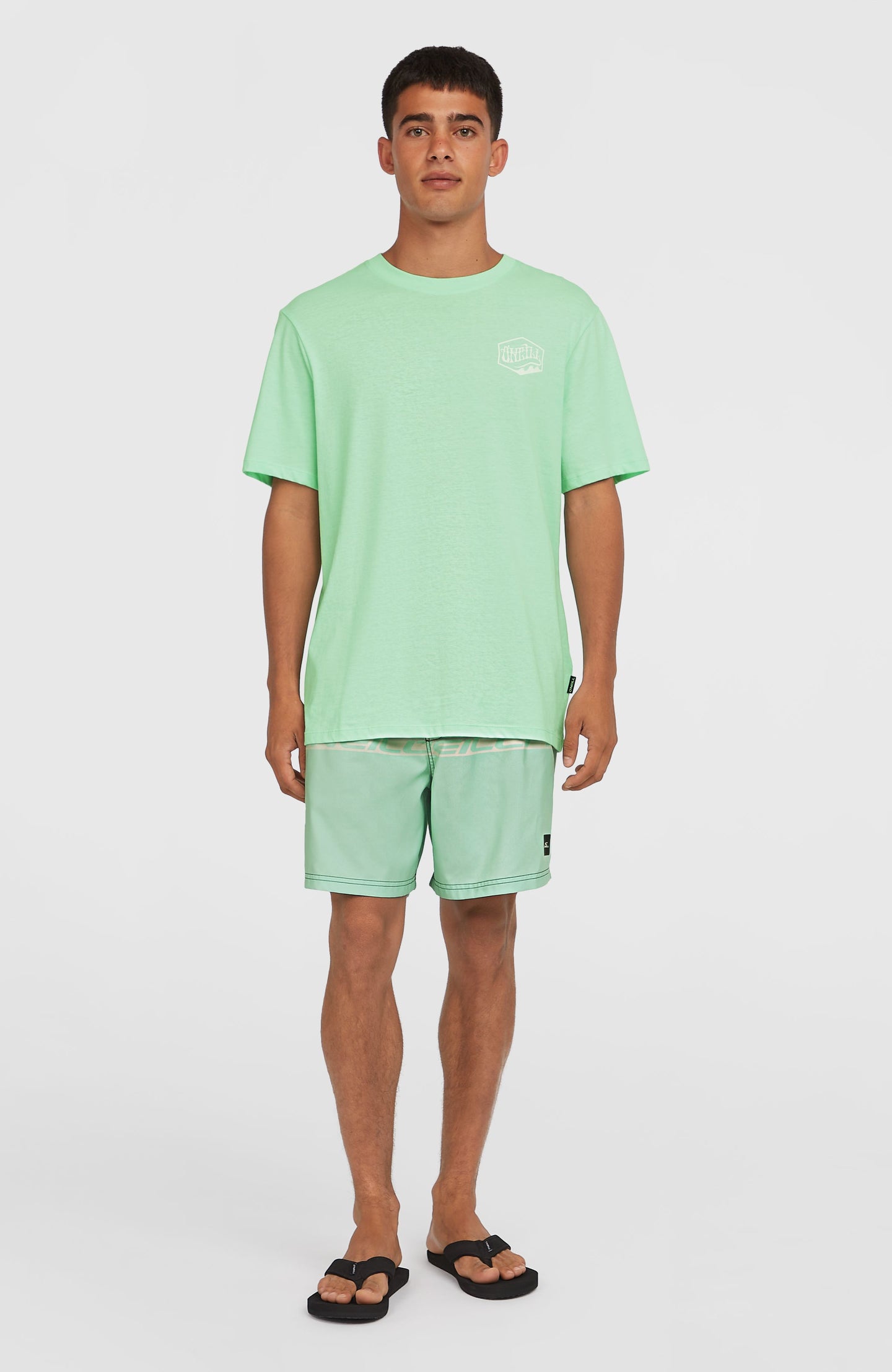 O'Neill Box Logo T-Shirt - Mildrew Mint