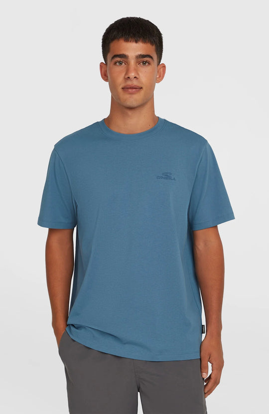 O'Neill Small Logo T-Shirt