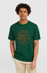 O'Neill Muir T-Shirt - Emerald Envy