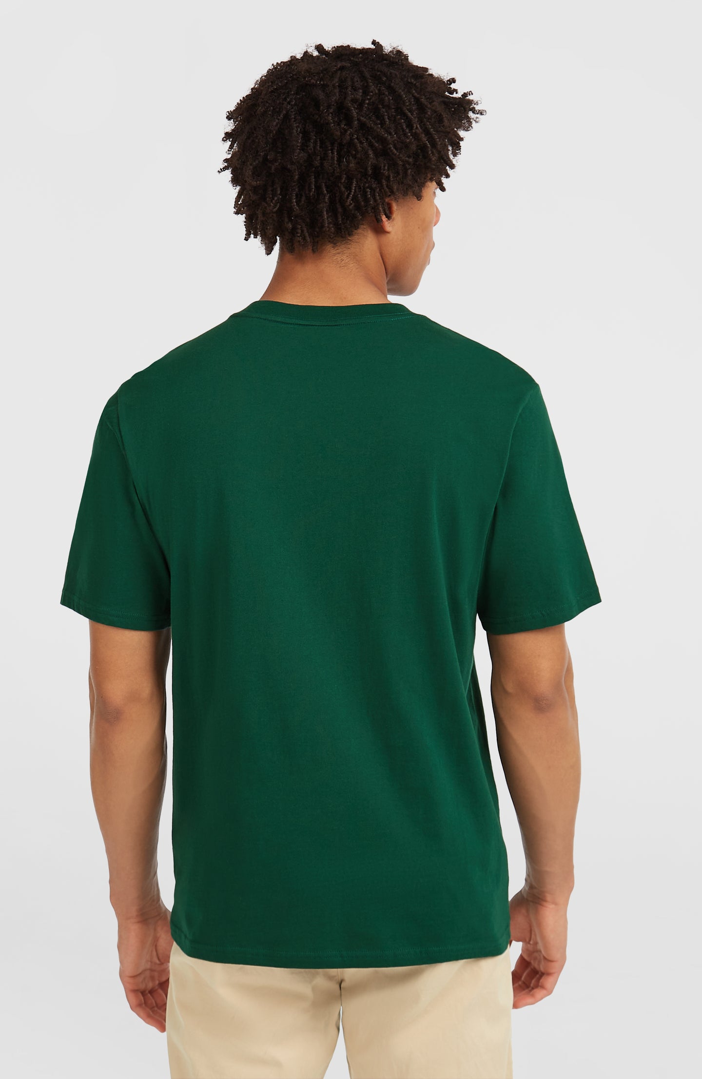 O'Neill Muir T-Shirt - Emerald Envy
