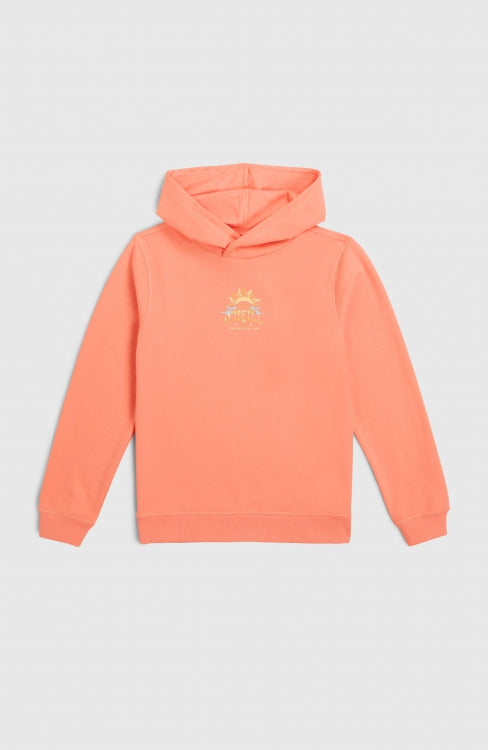 O'Neill Back Print Hoodie - Coral Pink
