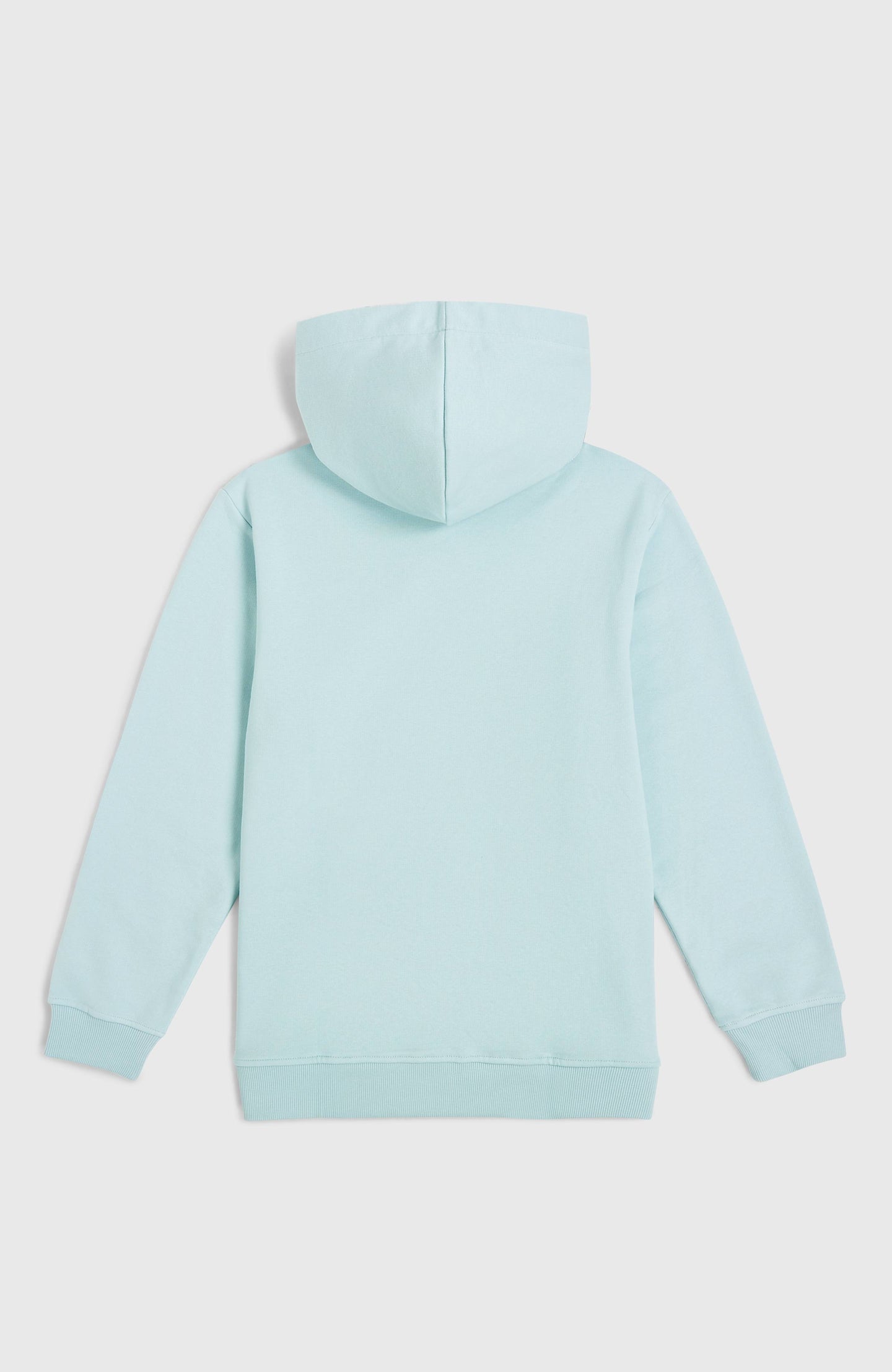 O'Neill Logo Hoodie - Morning Glory