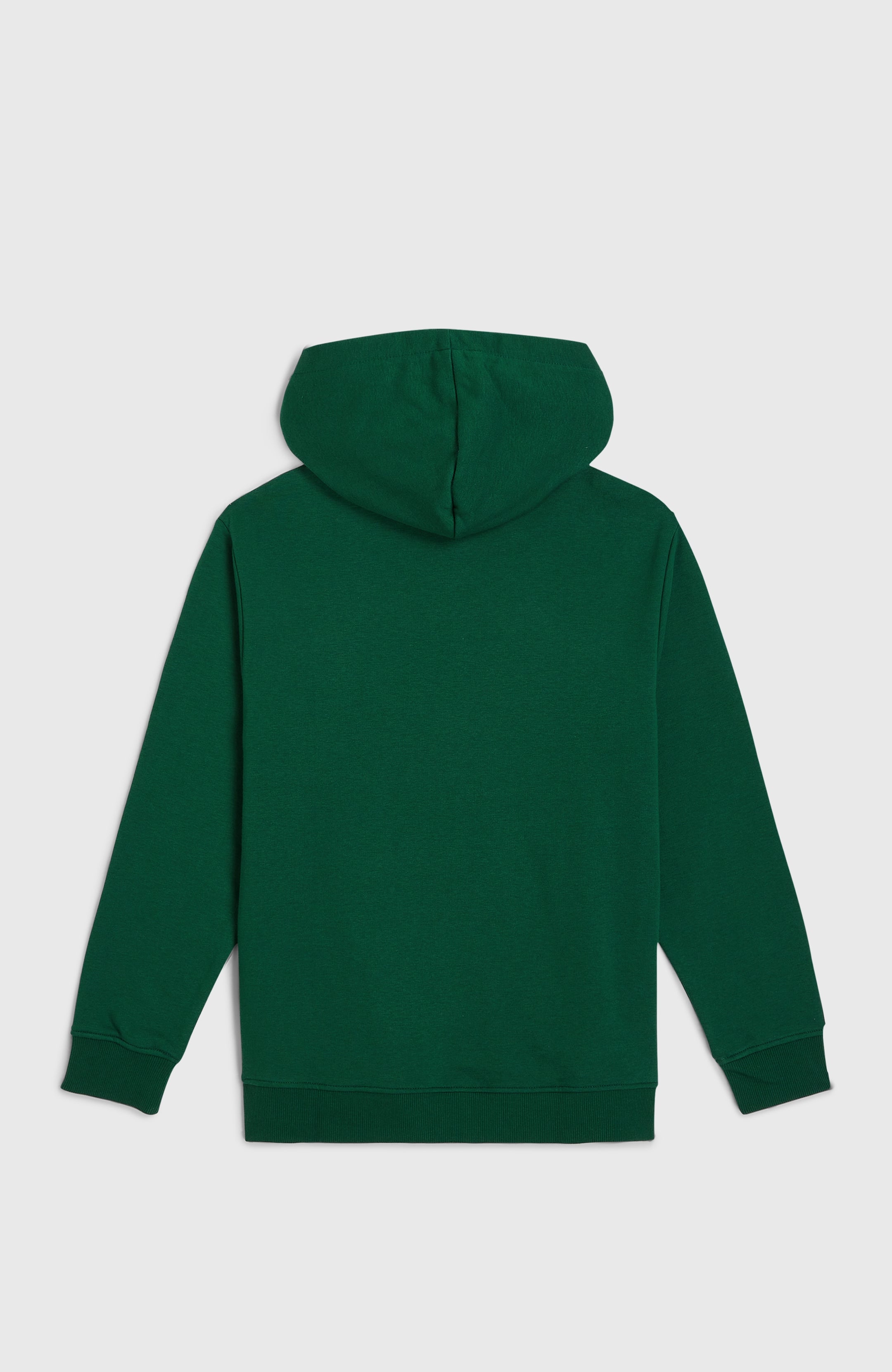 Essentials Hoodie - Emerald Envy
