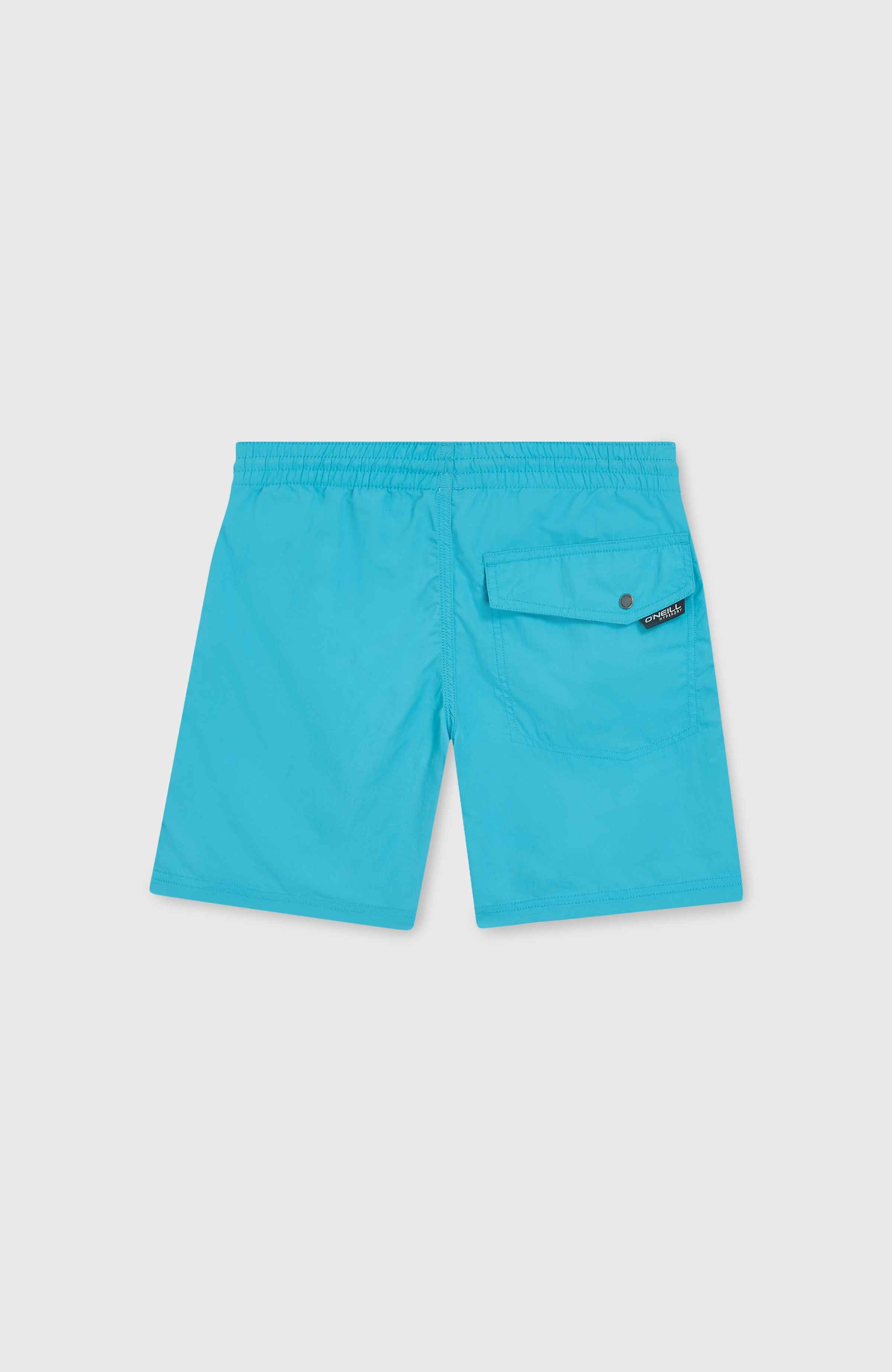 Vert 14" Swim Shorts - Neon Blue
