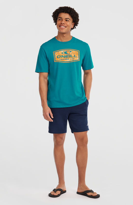 O'Neill Small Logo Sweatshorts - Ink Blue