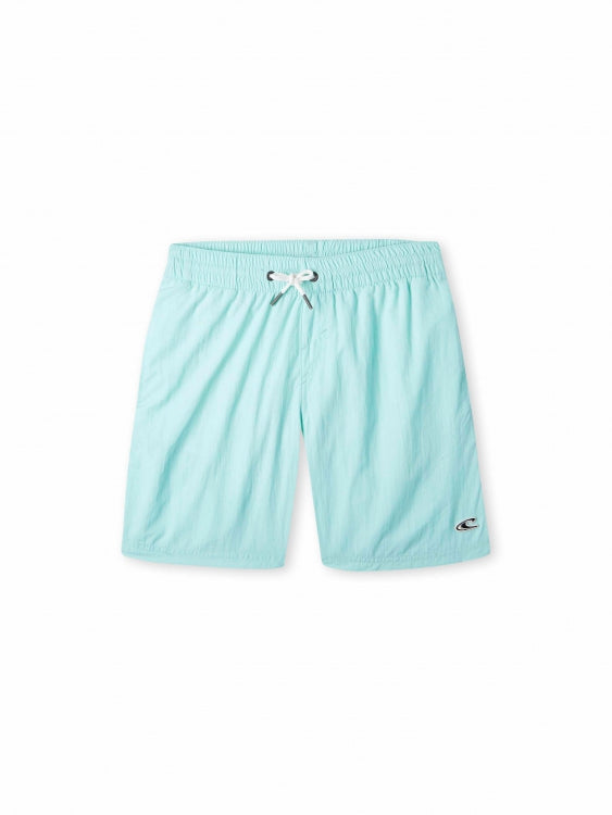 Vert 14" Swim Shorts - Beach Glass