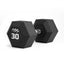 Tiguar HEX dumbbell 30 kg Tiguar