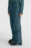 Aplite Regular Snow Pants - Alma Steel