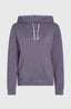 Essentials O'Neill Script Hoodie - Storm