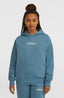 The Future Surf Society Hoodie - Mozart Blue