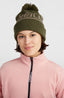 Powder Beanie - Forest Night Colour Block