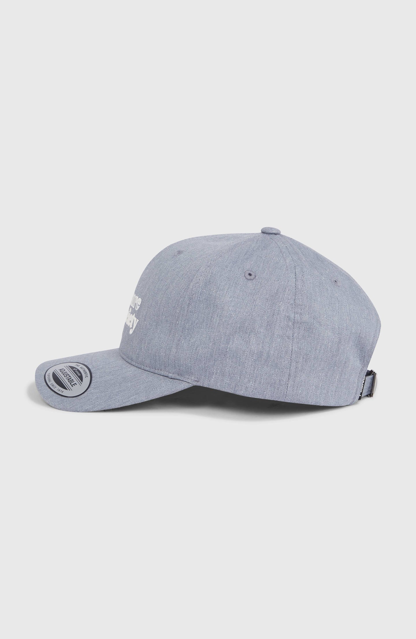 The Future Surf Society Cap - Silver Melee