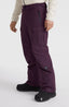 Utility Pro Regular Snow Pants - Aubergine