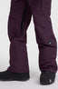 Utility Pro Regular Snow Pants - Aubergine