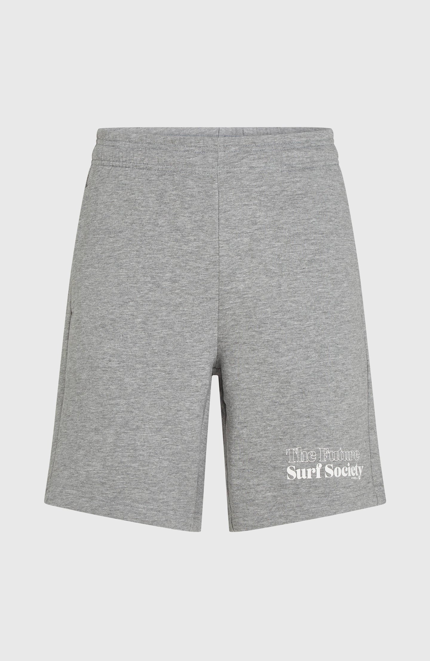 The Future Surf Society Shorts - Silver Melee