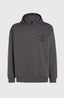Future Surf Society Hoodie - Raven