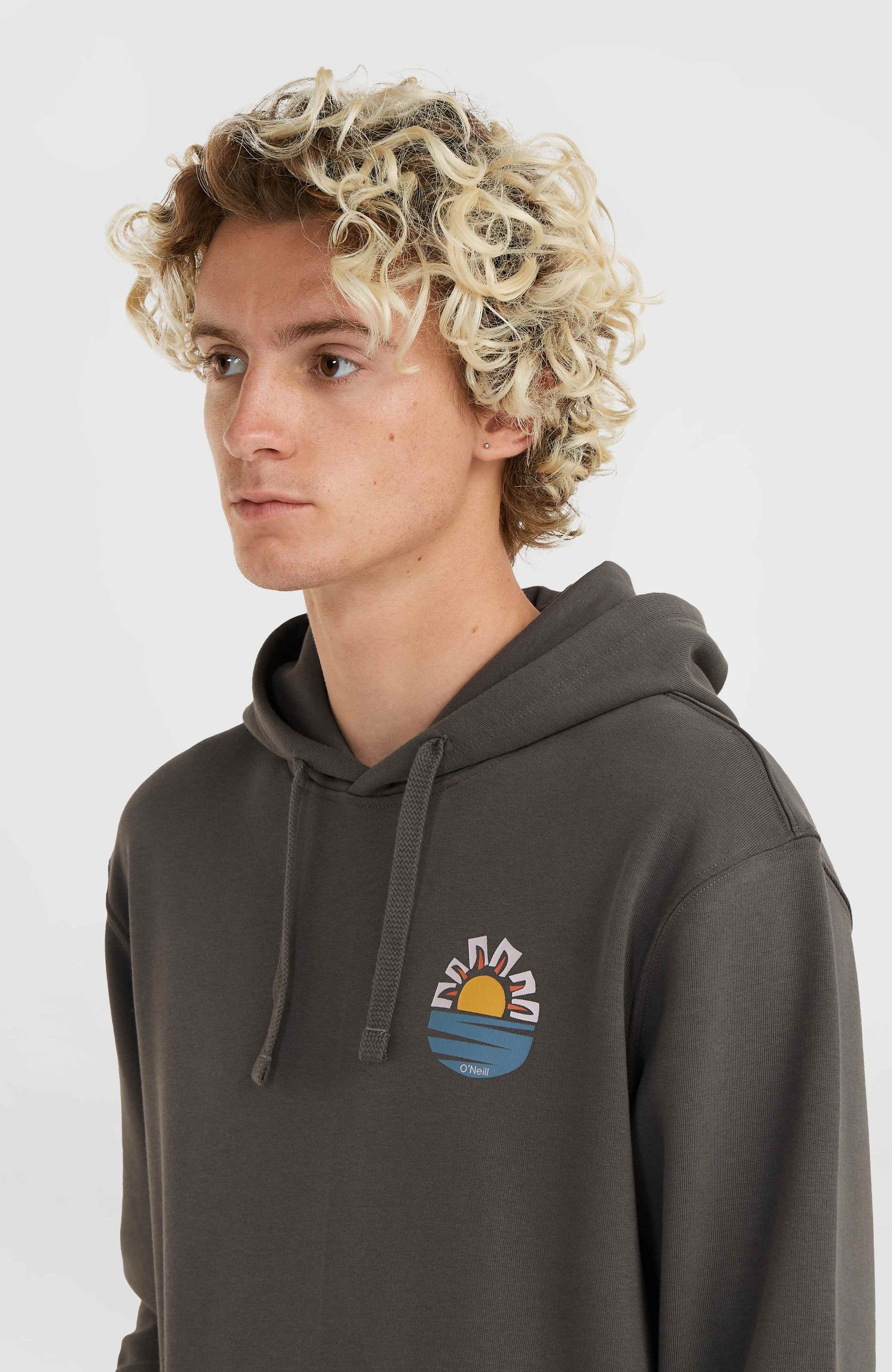 Og Sun Hoodie - Raven