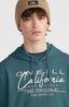 O'Neill Cali Hoodie - Alma Steel