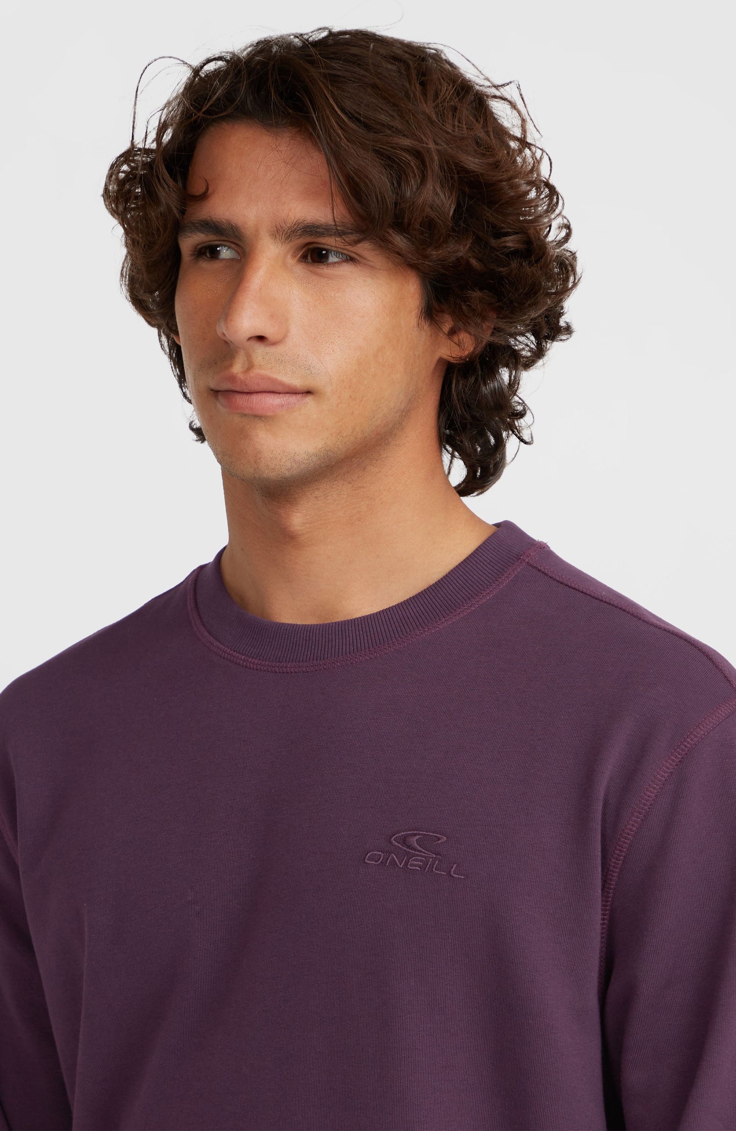 O'Neill Small Logo Crew - Aubergine