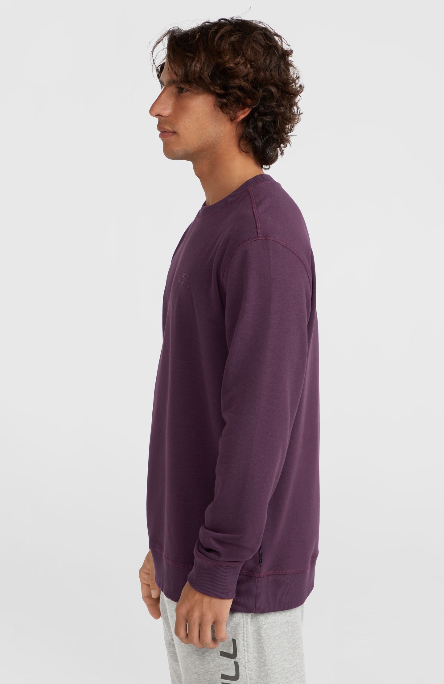 O'Neill Small Logo Crew - Aubergine