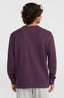 O'Neill Small Logo Crew - Aubergine
