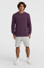 O'Neill Small Logo Crew - Aubergine