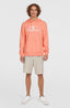 O'Neill Logo Hoodie - Coral Pop