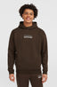 The Future Surf Society Hoodie - Coffee Bean