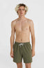 Mix & Match Vert 16'' Swim Shorts - Asher Tree