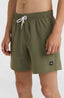 Mix & Match Vert 16'' Swim Shorts - Asher Tree