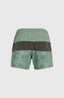 Mix & Match Cali Block 15'' Swim Shorts - Green Vintage Surfer