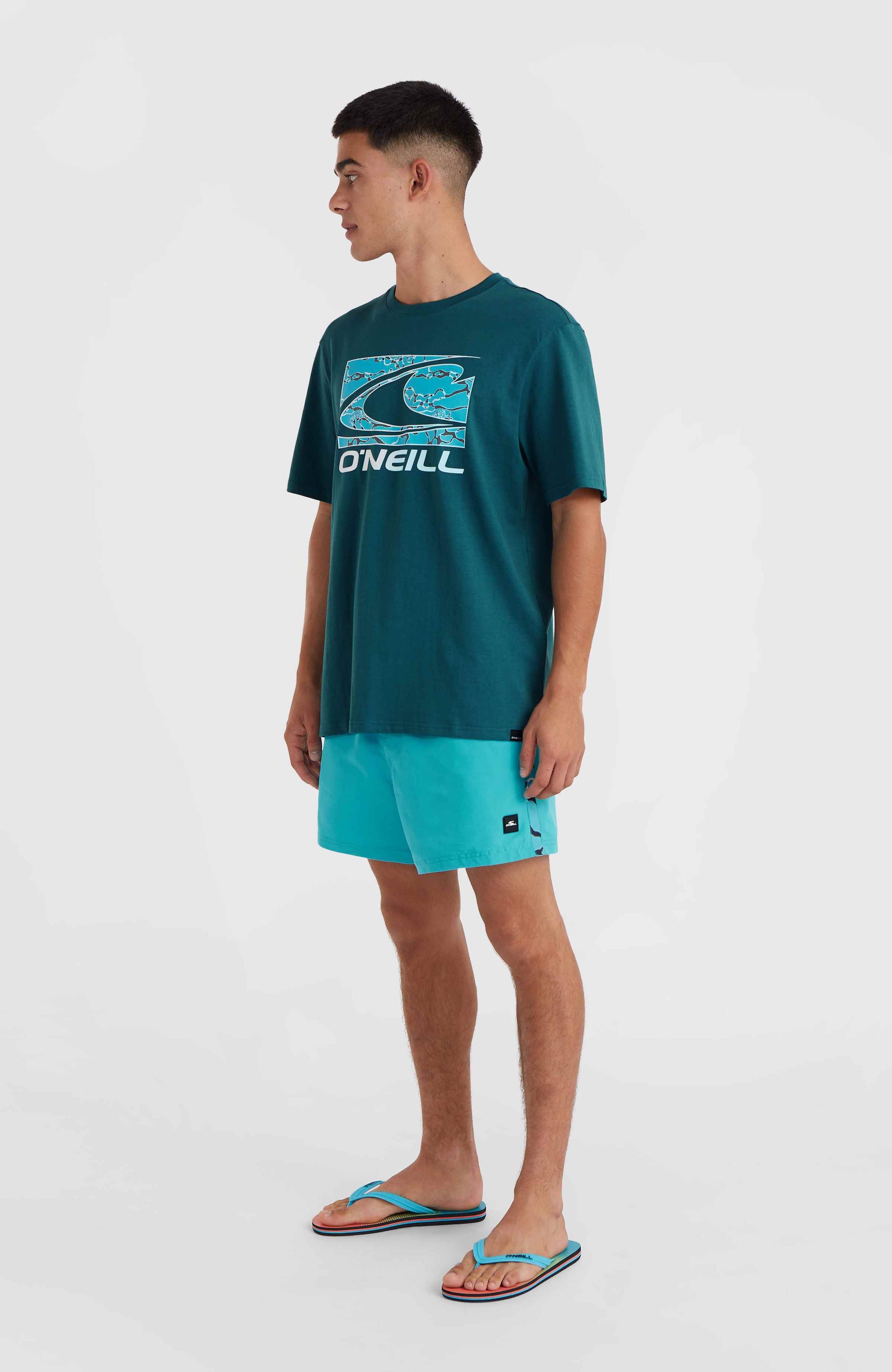 Jack O'Neill Vert Retro 14'' Swim Shorts - Neon Blue