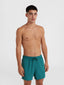 Jack O'Neill Vert Retro 14'' Swim Shorts - Beetle Juice