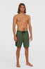 Hyperfreak Tech Panel 19" Boardshorts - Army Tech Panel
