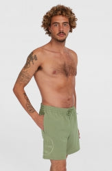 O'Riginals Cali Ocean 16'' Swimshorts - Avery Fern