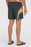 O'Riginals Longboard 15" Swimshorts - Black Originals Stripe