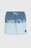 O'Neill Cali Block 15'' Swimshorts - Blue Dipped Leaves
