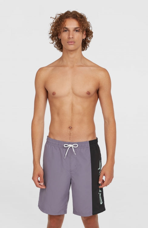 O'Neill Retro 19" Swimshorts - Storm Colour Block