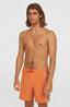 O'Riginals Side Panel 16" Swimshorts - Orange Originals