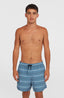 O'Neill Cali First 15'' Swimshorts - Blue O'Neill Stripe