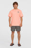 O'Neill Cali First 15'' Swimshorts - Grey O'Neill Stripe
